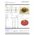 Clocked Out™ Delta-8 Assorted Gummies & Pre-Roll Bundle (Choose Strain) product image