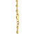 14k Yellow Gold Lite Anchor Chain (3.00 mm)
