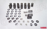Supertech Dual Valve Spring Kit for 2.0T 2010-2014 Genesis Coupe Supertech Dual Valve Spring Kit for 2.0T 2010-2014 Genesis Coupe