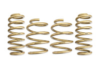 ARK Performance 2022+ HYUNDAI ELANTRA N GT-S LOWERING SPRINGS ARK Performance 2022+ HYUNDAI ELANTRA N GT-S LOWERING SPRINGS
