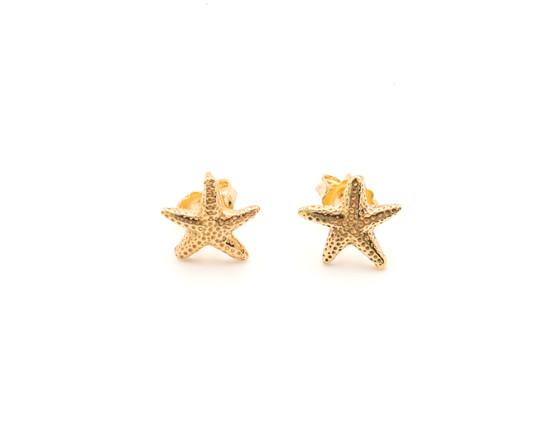Starfish Post Earrings, 14k