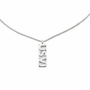 USVI Dog Tag With Rolo Chain, Silver