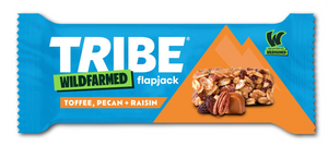 TRIBE Wildfarmed Toffee, Pecan + Raisin 16x50g