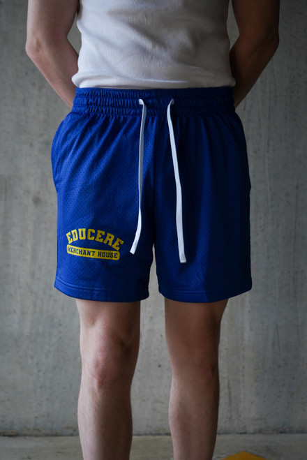 Classic Mesh Shorts (blue)
