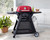 Ziggy By Ziegler & Brown Elite Twin Grill LPG On Cart (Chilli Red)