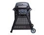 Ziggy By Ziegler & Brown Elite Twin Grill LPG On Cart (Gunmetal Grey)