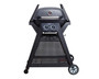 Ziggy By Ziegler & Brown Elite Twin Grill LPG On Cart (Gunmetal Grey)