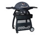 Ziggy Classic Twin Grill LPG BBQ On Cart (Gunmetal Grey)