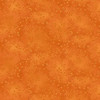 7755-36 Orange || Folio Basics