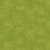 7755-62 Early Green || Folio Basics