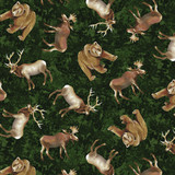 *Whispers of the Wild