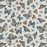 Whimsical Woods Minky