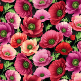 Blissful Blooms Minky-Digital