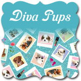 Diva Pups