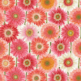 Bloomscape