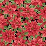 *Poinsettia Splendor 108" - Digital