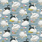 *Swan Sanctuary - Digital