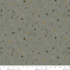 3556-63 Sage Green || Seeing Stars Basic