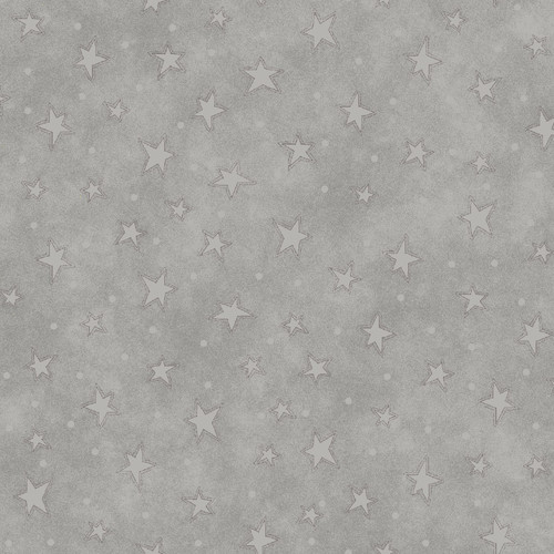 8294-91 Silver || Starry Basics