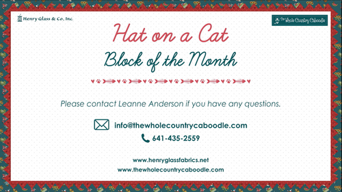 Hat on a Cat Panel Highlight Video