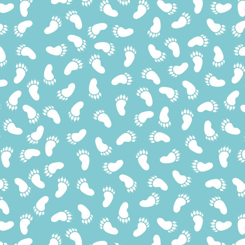 2523MK-17 Teal || Special Delivery Minky