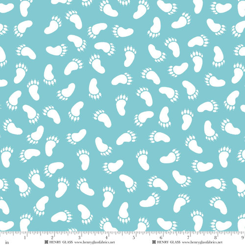 2523MK-17 Teal || Special Delivery Minky