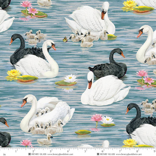 2486-73 Blue/Multi || Swan Sanctuary