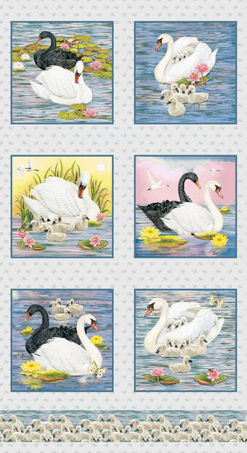 2495B-73 Blue/Multi* || Swan Sanctuary
