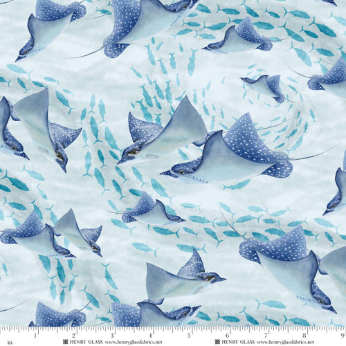 2333-11 Bay Blue || Window to Paradise