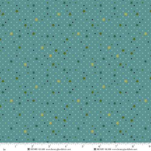 3717-77 Teal || WhimsiDilly Circus