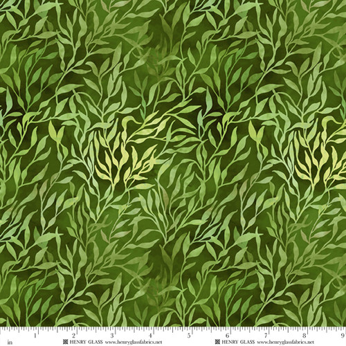 3776-66 Green || Wandering Shores