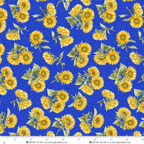 2934-74 Blue/Yellow || Sun Kissed