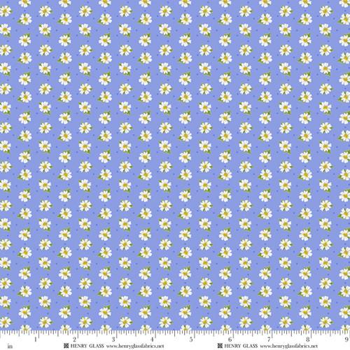 380858 Blue/Multi || Sun Kissed