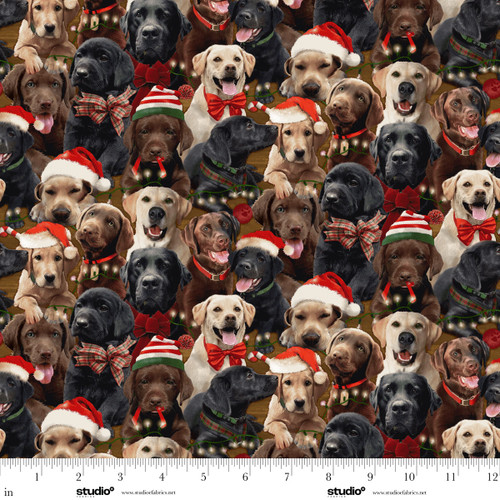 1724-39 Brown/Multi || Holiday Labs