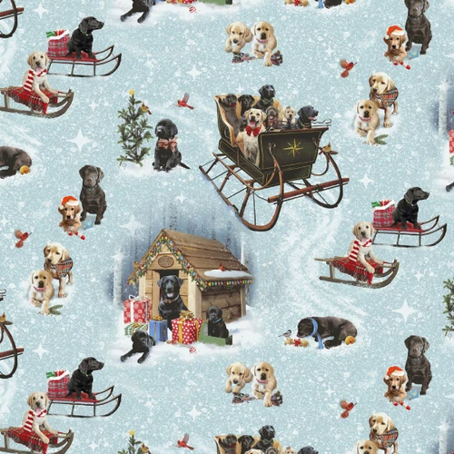 1725-79 Light Blue/Multi || Holiday Labs