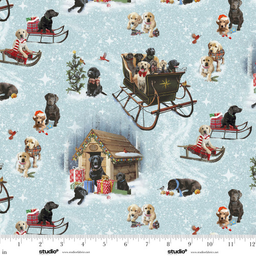 1725-79 Light Blue/Multi || Holiday Labs