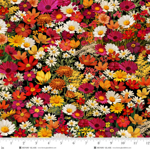 1590-99 Black Multi || Red Harvest Lane