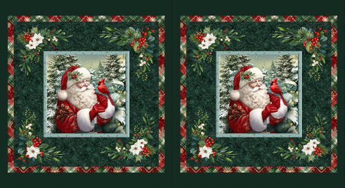 3805PH-66* Teal || Santa & Friends