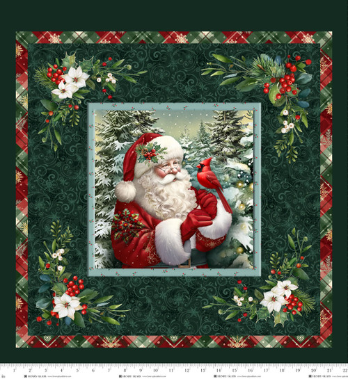 3805PH-66* Teal || Santa & Friends