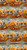 3235-35 Pumpkin Multi || Haunted Hallow