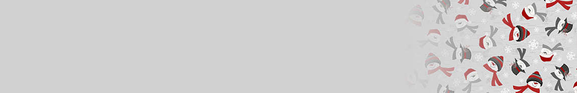 blizzard-fun-header.jpg