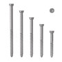 AnchorMark S2-TTT (Timber to Timber) Decking Screw - 304 Stainless Steel