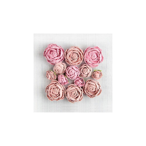 Little Birdie: English Roses - Pearl Pink