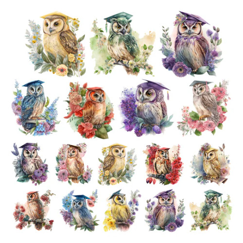 Simply Stated Design: Colorful Commencement Owls Ephemera