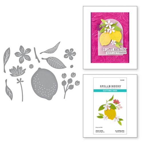 Spellbinders: Citrus Spritz Etched Dies from the La Dolce Vita Collection