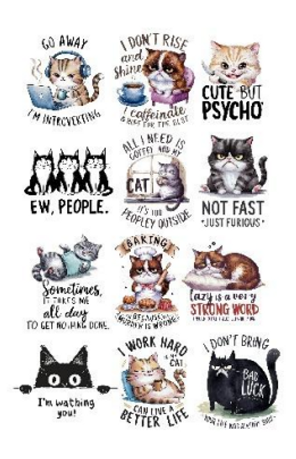 Simply Stated Design: Grumpy Cat Ephemera