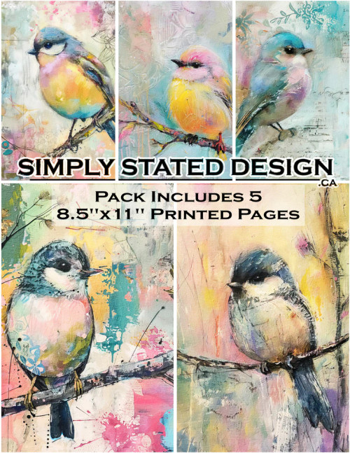 simply stated design: Cute Birds 8.5 x 11 Paper Pack