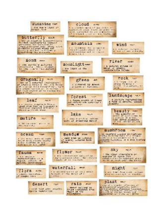 Simply Stated: Ephemera, Eclectic Aviary - Sentiments