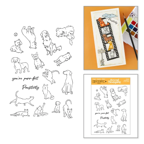 Spellbinders: Beyond Stamping Pawsitivity #1 Clear Stamp Set by Josh Griffiths Studio