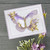 Spellbinders: Die, Bibi's Butterflies - So Many Butterflies